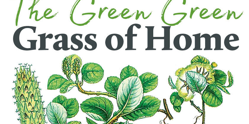 The Green Green Grass of Home