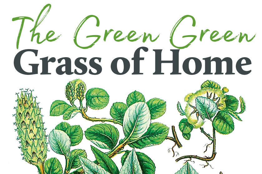 The Green Green Grass of Home