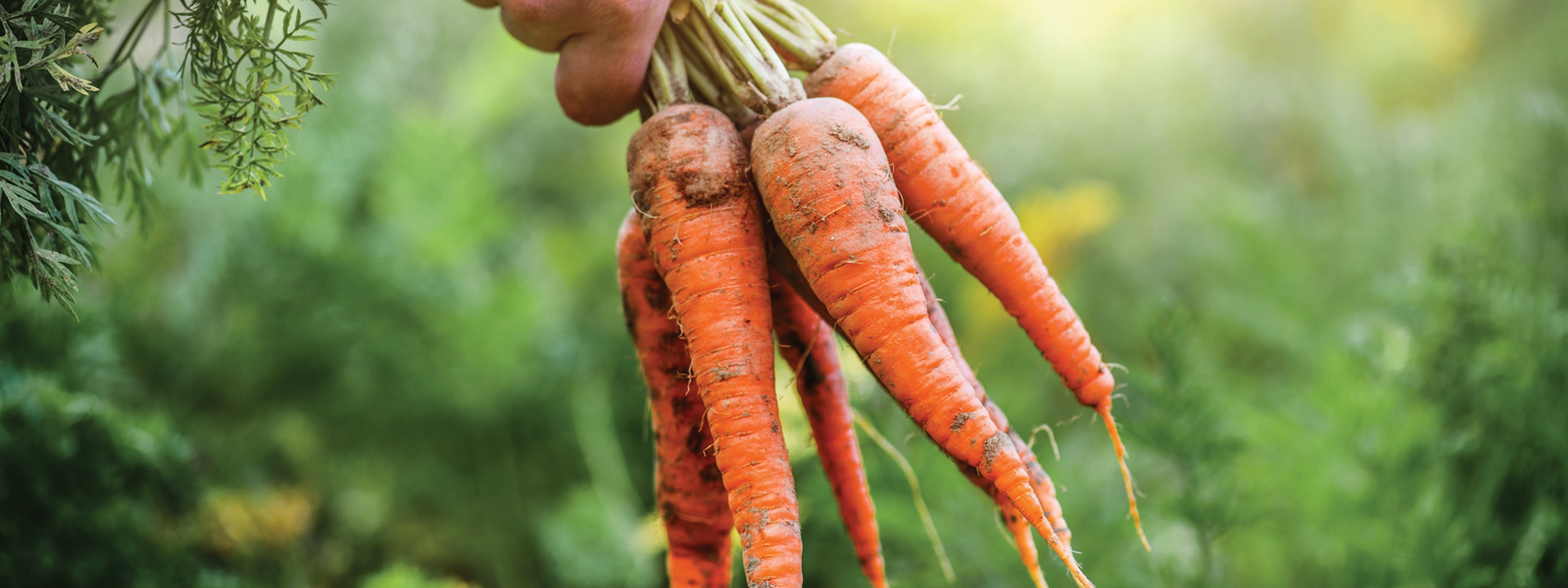 September’s Harvest: Eating with the Seasons